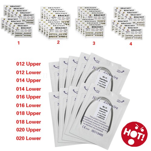 Dental orthodontic bracket - dental,